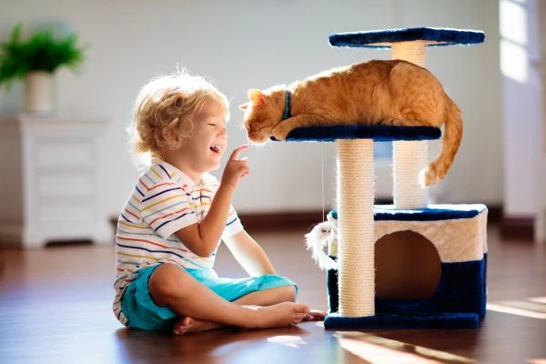 New Rules on Pets and Discrimination: What Landlords Need to Know